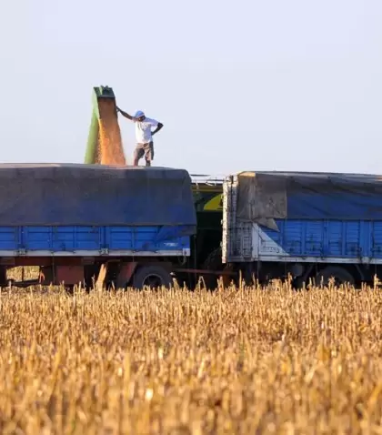GRANOS-CAMION