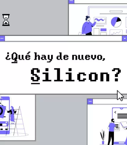 GRAFICA_SILLICON_final2-2