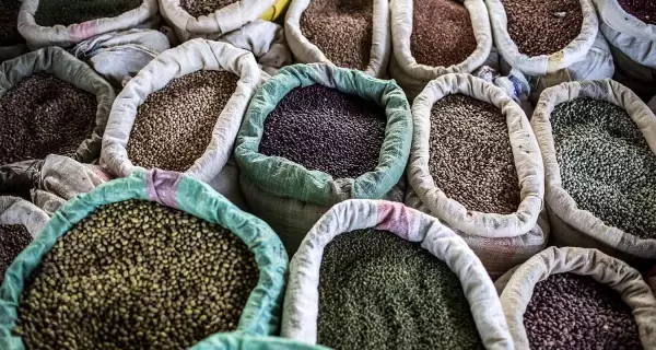 legumes-pulses-fao-luis-tato