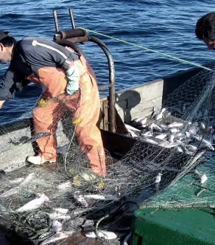 pesca