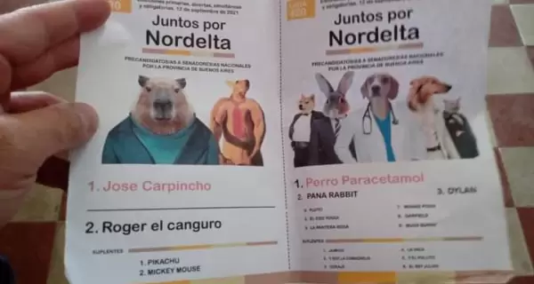 perro-paracetamol