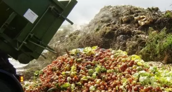alimentos_desperdicio