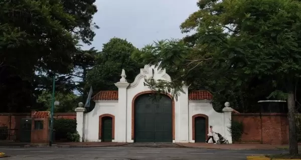 Olivos