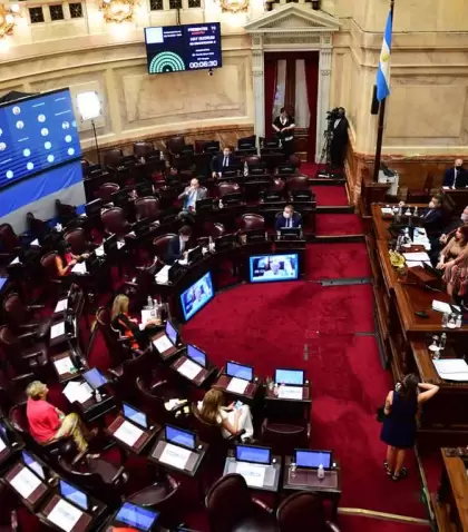 senado