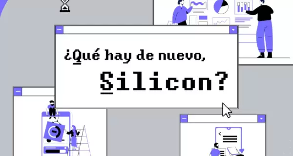 GRAFICA_SILLICON_final2-1024x716-1