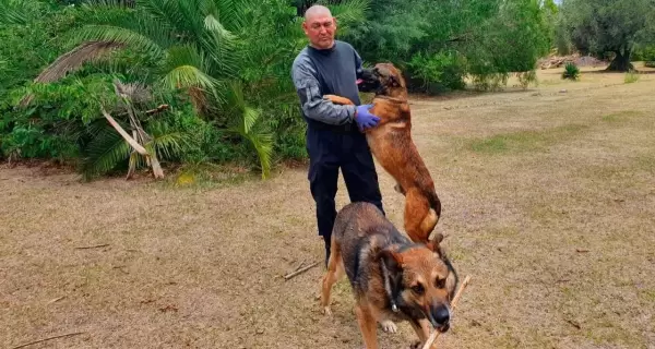 Perito