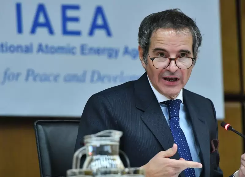 rafael_grossi_iaea