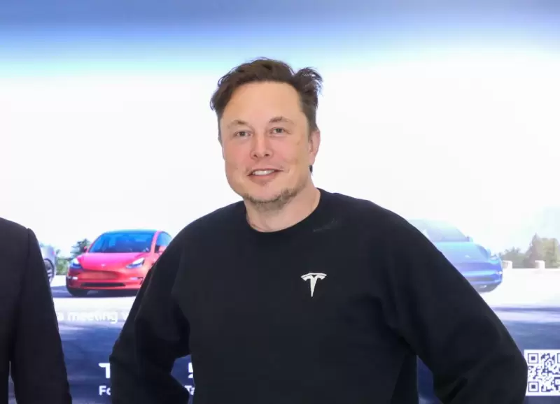 musk-scaled