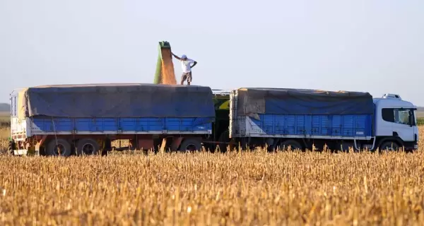 GRANOS-CAMION