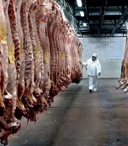 carne