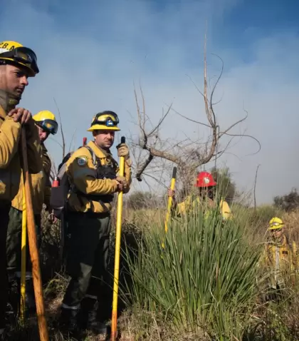 incendios-scaled