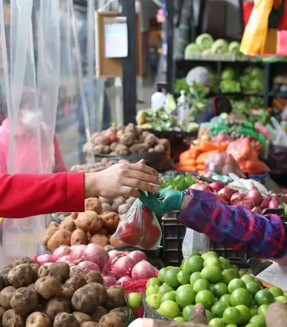 alimentos