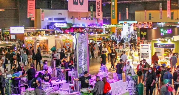 expo-cannabis-e1666904181657