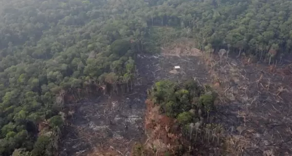 amazonas