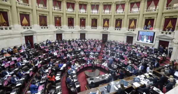 diputados