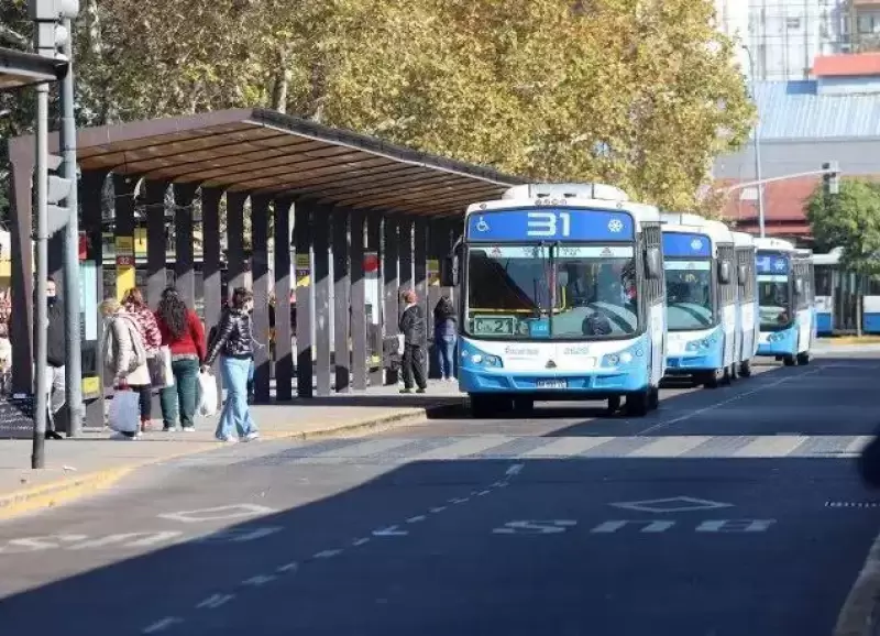 colectivos-transporte-publico