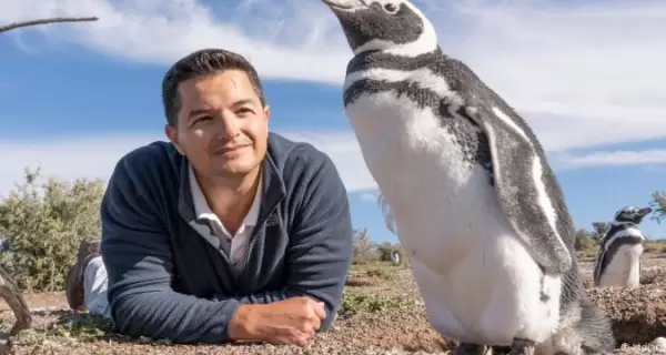 pinguino-2