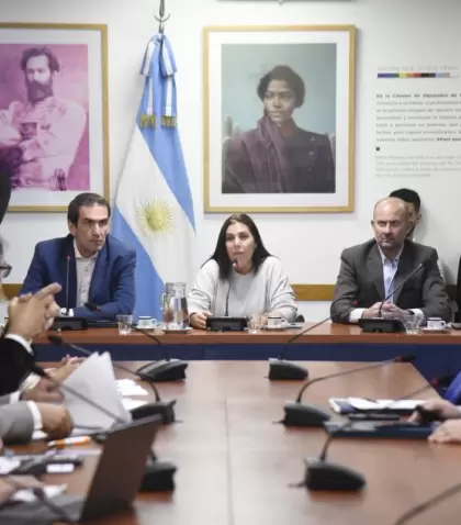 Diputados