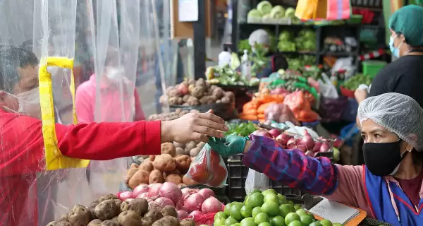 alimentos