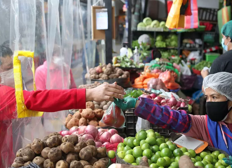 alimentos