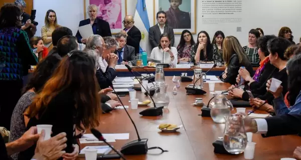 diputados-comision-licencias
