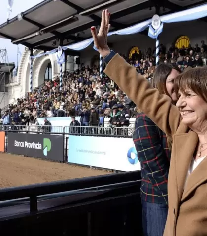 bullrich5