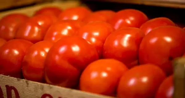 tomate_2