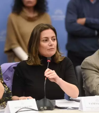 vanesa-siley-licencias-paternales-maternales-parentales-diputados