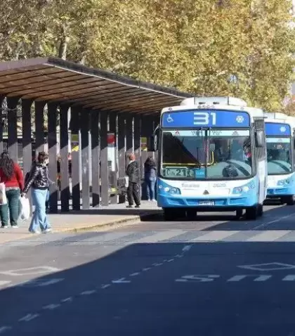 colectivos-transporte-publico