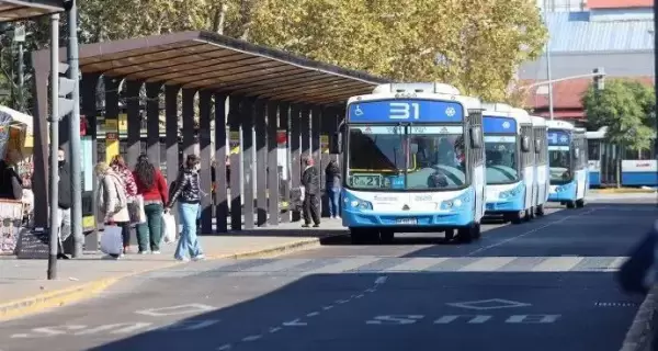 colectivos-transporte-publico