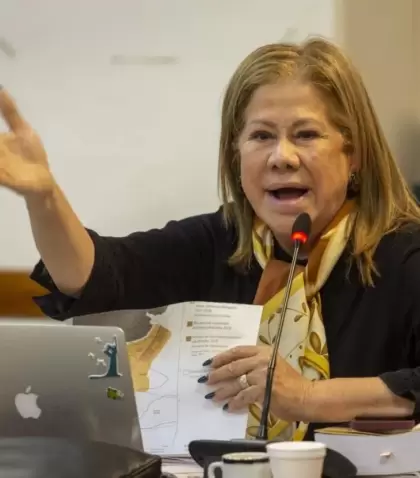 camano-graciela