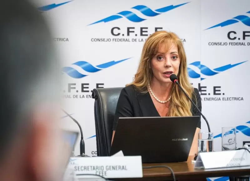 La exsecretaria de Minera Flavia Royn defendi la necesidad del RIGI