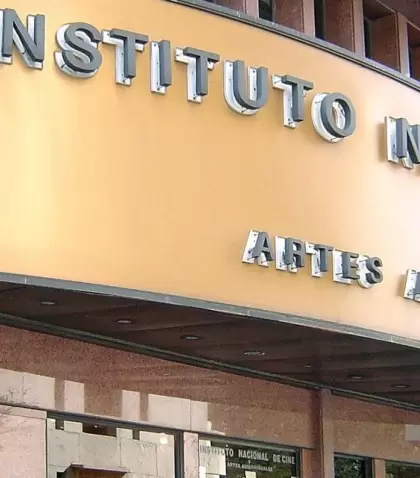 Instituto Nacional de Artes y Audiovisuales (INCAA).