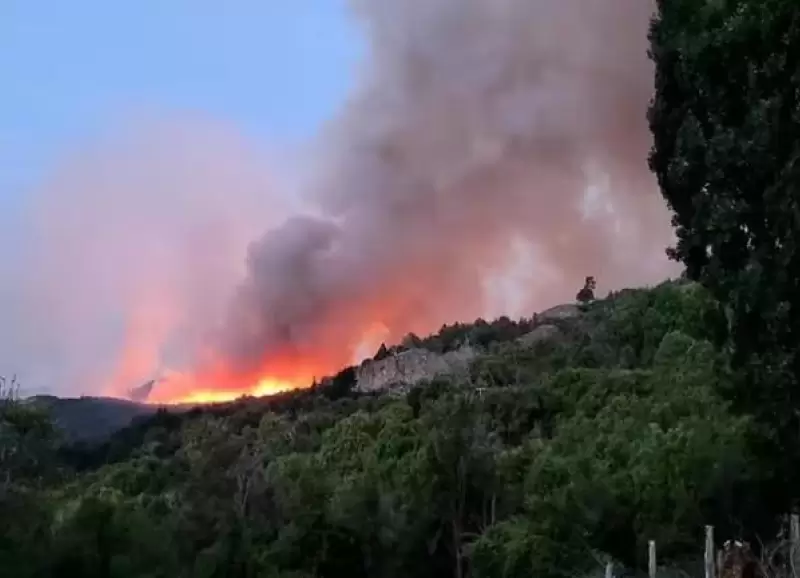 incendio-forestar-chubut