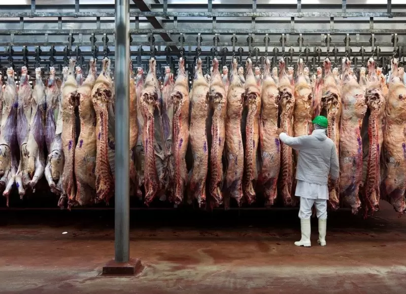El consumo per cpita de carne en marzo fue de 42,6 kilos, lo que represent una baja del 18,5% en comparacin con el mismo mes de 2023
