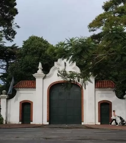 Olivos