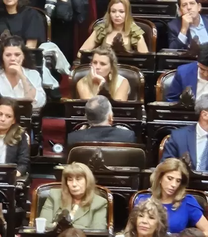 Mario Manrique le dio la espalda al presidente Javier Milei durante su discurso en el Congreso.