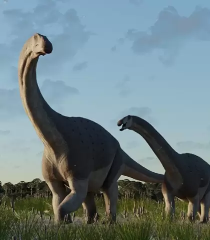 El nuevo titanosaurio, Titanomachya gimenezi, descubierto por cientficos del Conicet