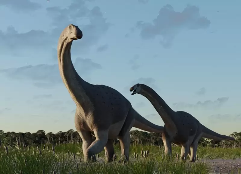 El nuevo titanosaurio, Titanomachya gimenezi, descubierto por cientficos del Conicet
