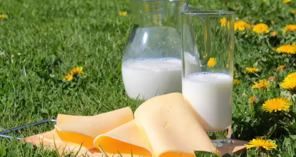 El Gobierno prorroga la suspensin de los derechos de exportacin para productos lcteos.