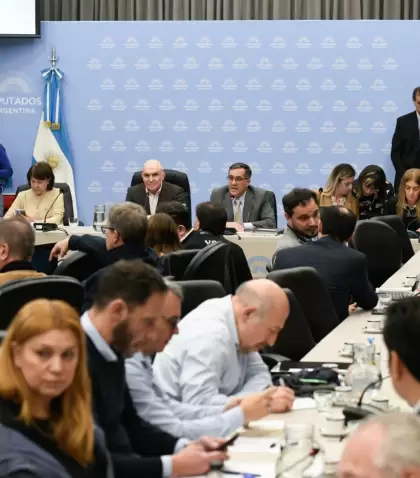 El plenario de las comisiones de Diputados donde se emitieron cuatro dict�menes sobre el financiamiento universitario.