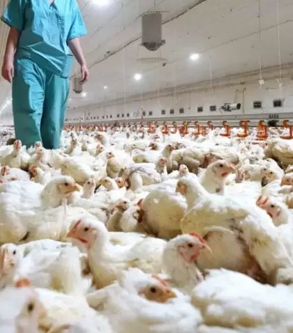 Es el primer caso humano confirmado por laboratorio de una infecci�n con un subtipo de influenza aviar reportado a nivel mundial