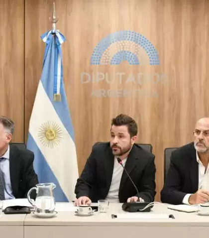 El diputado radical Mart�n Tetaz en la Comisi�n de Legislaci�n de Trabajo de la C�mara Baja