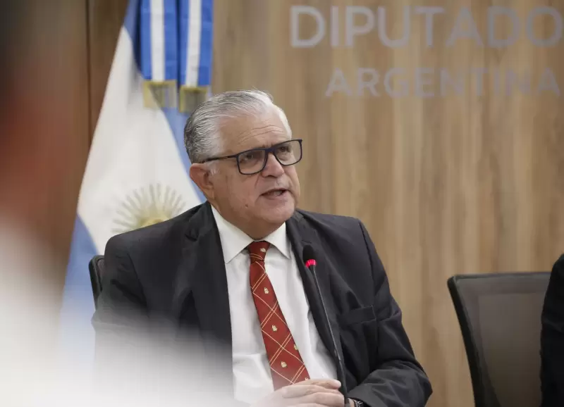 El diputado nacional de Hacemos Coalicin Federal Ricardo Lpez Murphy