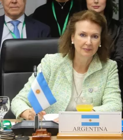 La canciller argentina Diana Mondino remarc la posicin del Gobierno en X.