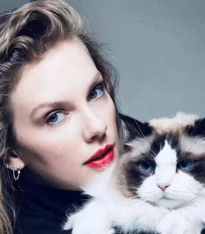 Taylor Swift junto a uno de sus gatos en el posteo que public en apoyo a Kamala Harris para las elecciones presidenciales de Estados Unidos