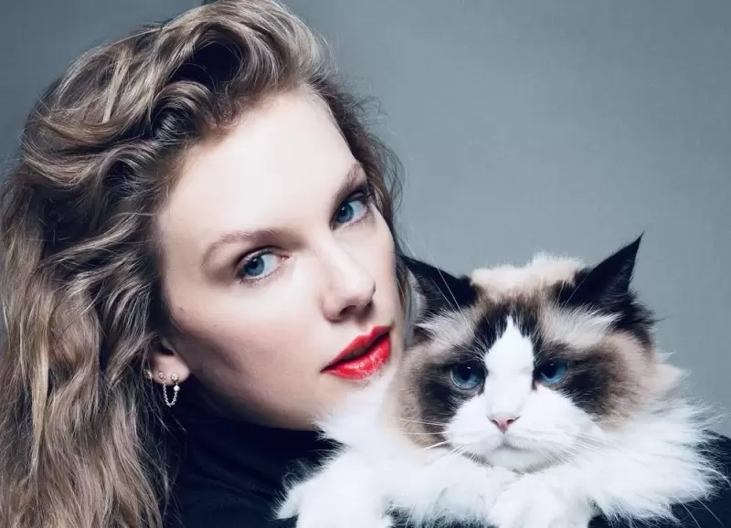 Taylor Swift junto a uno de sus gatos en el posteo que public en apoyo a Kamala Harris para las elecciones presidenciales de Estados Unidos