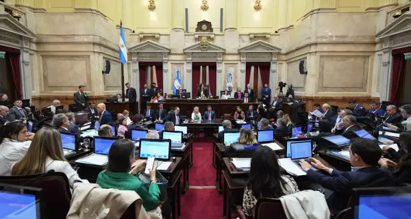 El Senado trata hoy la ley de financiamiento universitario, la boleta nica y el DNU de fondos reservados de la SIDE