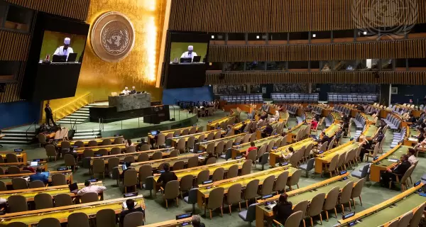 La Asamblea General de la Organizacin de las Naciones Unidas (ONU)