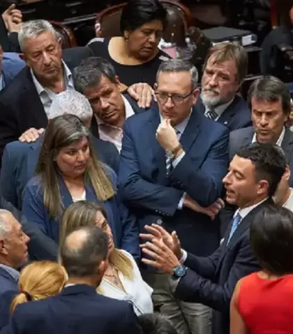 El bloque radical, ahora roto, bajo la conducci�n de Rodrigo De Loredo.